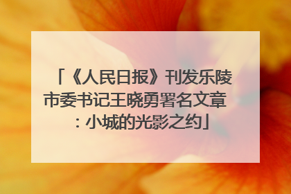 《人民日报》刊发乐陵市委书记王晓勇署名文章：小城的光影之约