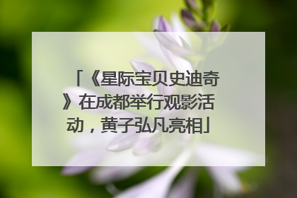 《星际宝贝史迪奇》在成都举行观影活动，黄子弘凡亮相
