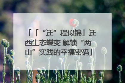 「“迁”程似锦」迁西生态蝶变 解锁“两山”实践的幸福密码