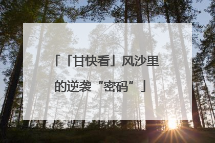 「甘快看」风沙里的逆袭“密码”