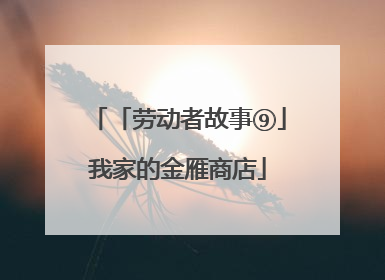 「劳动者故事⑨」我家的金雁商店