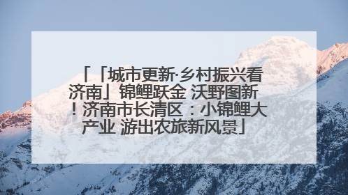 「城市更新·乡村振兴看济南」锦鲤跃金 沃野图新！济南市长清区：小锦鲤大产业 游出农旅新风景