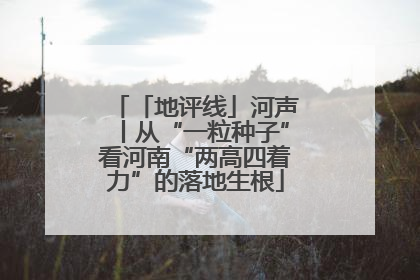 「地评线」河声丨从“一粒种子”看河南“两高四着力”的落地生根