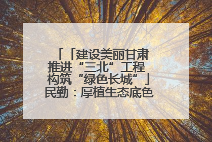 「建设美丽甘肃 推进“三北”工程 构筑“绿色长城”」民勤：厚植生态底色 筑牢绿色屏障