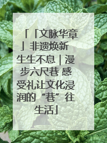 「文脉华章」非遗焕新 生生不息｜漫步六尺巷 感受礼让文化浸润的“巷”往生活