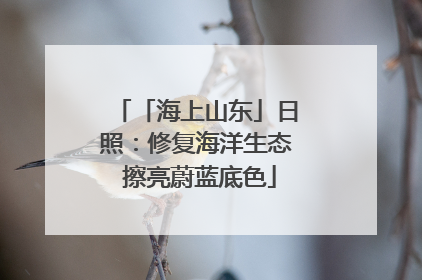 「海上山东」日照：修复海洋生态 擦亮蔚蓝底色