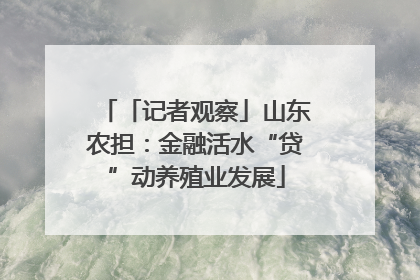 「记者观察」山东农担：金融活水“贷”动养殖业发展