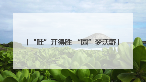 “畦”开得胜 “园”梦沃野