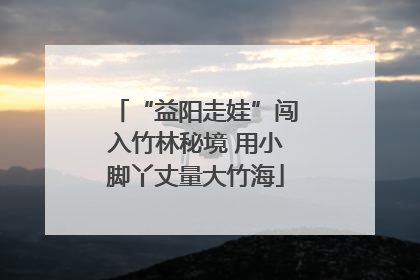 “益阳走娃”闯入竹林秘境 用小脚丫丈量大竹海