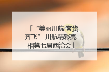 “美丽川航 客货齐飞” 川航精彩亮相第七届西洽会