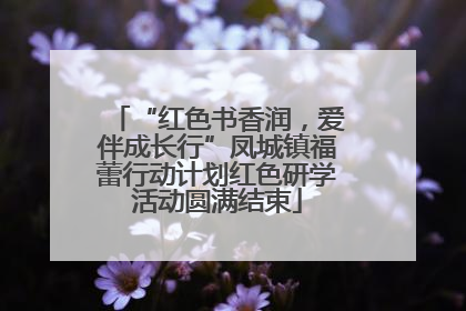 “红色书香润，爱伴成长行”凤城镇福蕾行动计划红色研学活动圆满结束
