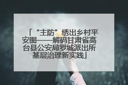 “主防”绣出乡村平安图——解码甘肃省高台县公安局罗城派出所基层治理新实践