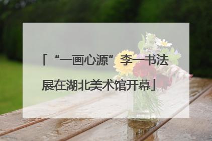 “一画心源”李一书法展在湖北美术馆开幕