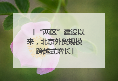 “两区”建设以来，北京外贸规模跨越式增长