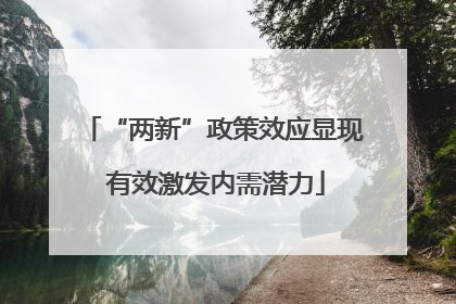 “两新”政策效应显现 有效激发内需潜力