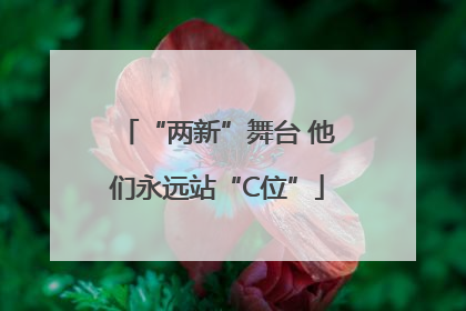 “两新”舞台 他们永远站“C位”