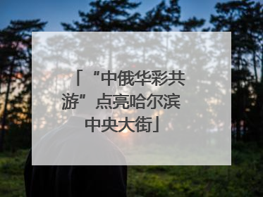 “中俄华彩共游”点亮哈尔滨中央大街