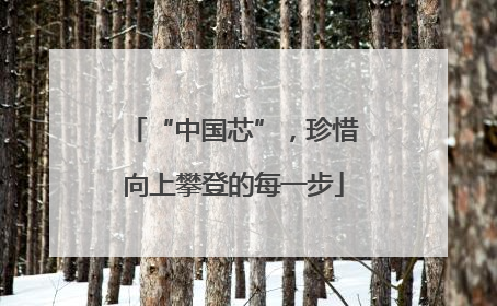 “中国芯”，珍惜向上攀登的每一步