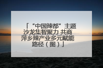 “中国辣都”主题沙龙集智聚力 共商萍乡辣产业多元赋能路径（图）