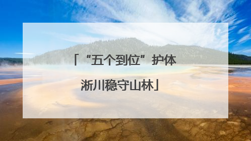 “五个到位”护体 淅川稳守山林