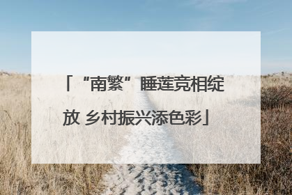 “南繁”睡莲竞相绽放 乡村振兴添色彩