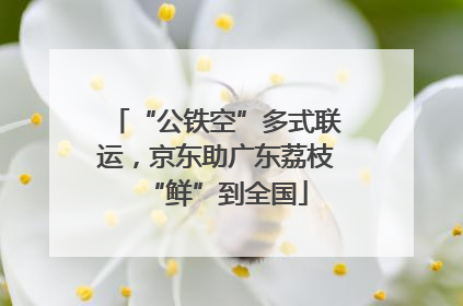 “公铁空”多式联运，京东助广东荔枝“鲜”到全国