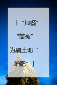 “加餐”“盖被” 为黑土地“增肥”