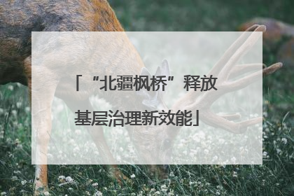 “北疆枫桥”释放基层治理新效能