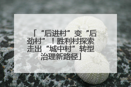 “后进村”变“后劲村”！胜利村探索走出“城中村”转型治理新路径