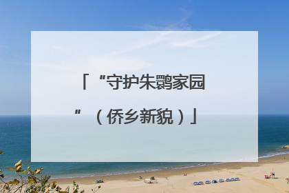 “守护朱鹮家园”（侨乡新貌）
