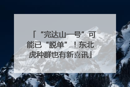 “完达山一号”可能已“脱单”！东北虎种群也有新喜讯
