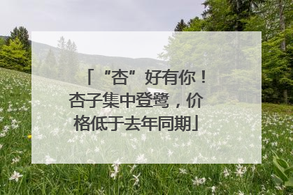 “杏”好有你！杏子集中登鹭，价格低于去年同期