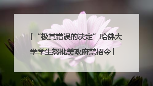 “极其错误的决定”哈佛大学学生怒批美政府禁招令
