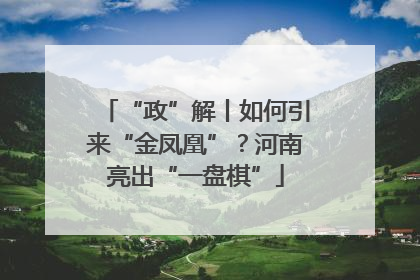 “政”解丨如何引来“金凤凰”？河南亮出“一盘棋”