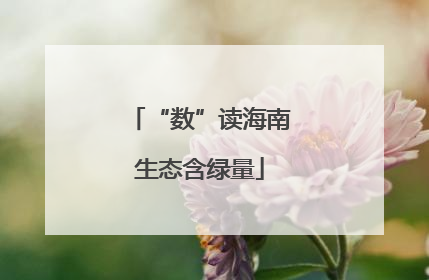 “数”读海南生态含绿量