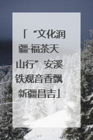 “文化润疆·福茶天山行”安溪铁观音香飘新疆昌吉