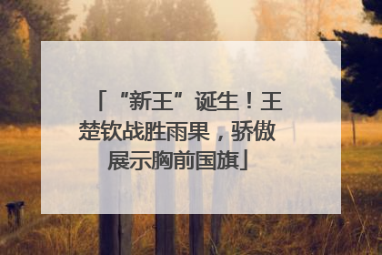 “新王”诞生！王楚钦战胜雨果，骄傲展示胸前国旗
