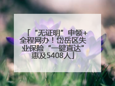 “无证明”申领+全程网办！岱岳区失业保险“一键直达”惠及5408人