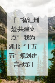 “智汇荆楚·共建支点” 我为湖北“十五五”规划建言献策