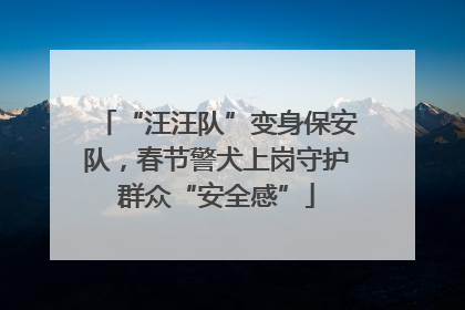 “汪汪队”变身保安队，春节警犬上岗守护群众“安全感”