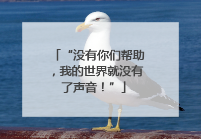 “没有你们帮助，我的世界就没有了声音！”