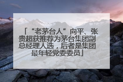 “老茅台人”向平、张贵超获推荐为茅台集团副总经理人选，后者是集团最年轻党委委员