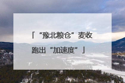 “豫北粮仓”麦收跑出“加速度”