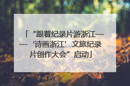 “跟着纪录片游浙江——‘诗画浙江’文旅纪录片创作大会”启动