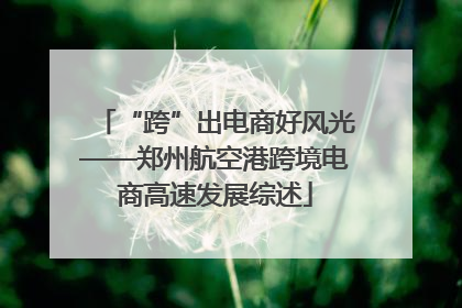 “跨”出电商好风光——郑州航空港跨境电商高速发展综述