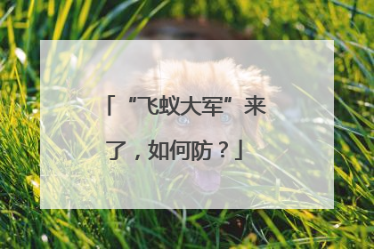 “飞蚁大军”来了，如何防？