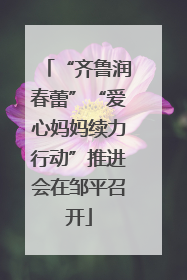 “齐鲁润春蕾”“爱心妈妈续力行动”推进会在邹平召开