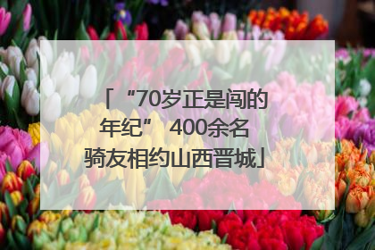 “70岁正是闯的年纪” 400余名骑友相约山西晋城
