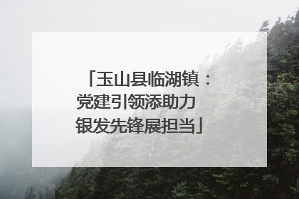 玉山县临湖镇：党建引领添助力 银发先锋展担当