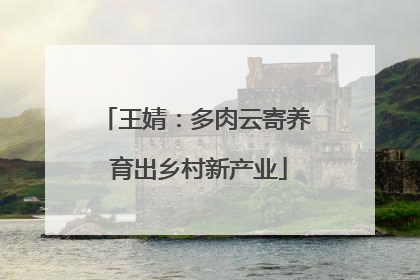 王婧：多肉云寄养 育出乡村新产业